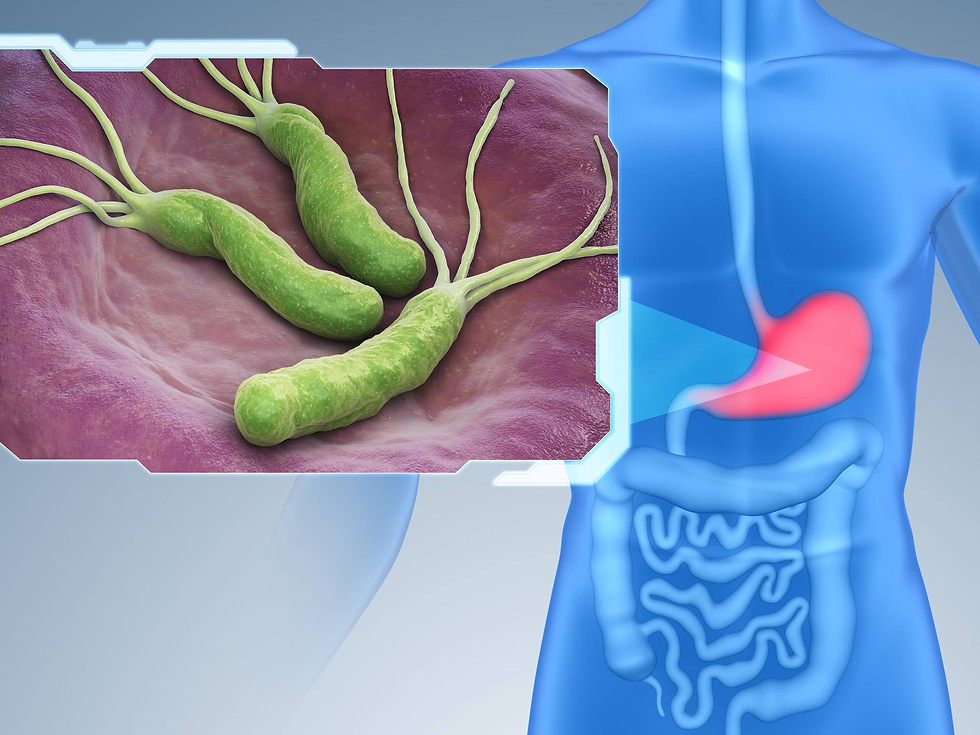 H. pylori Explained