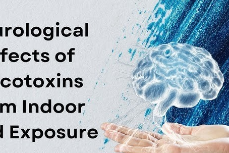 Mold Exposure and Neurological Symptoms: New Research on Seizures, Mycotoxins & Detox Support