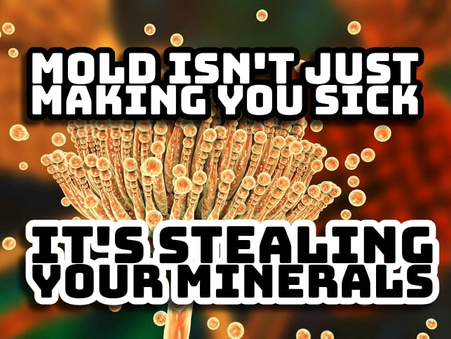 How Mold Hijacks Your Minerals and Sabotages Your Health (and What to Do About It)