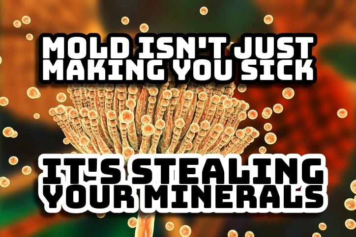 Mold & Minerals