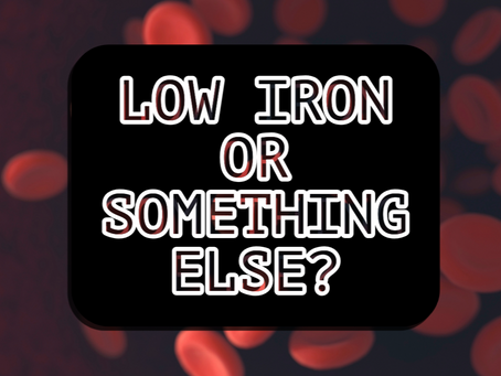 Mercury and Iron Absorption | Why Iron Deficiency Isn’t Always About Intake