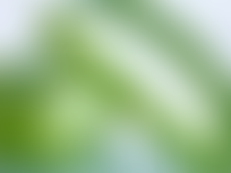 Aloe Vera and Cancer Research: What Science Is Exploring