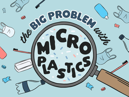 Microplastics in the Human Body: What We Know and How to Protect Yourself