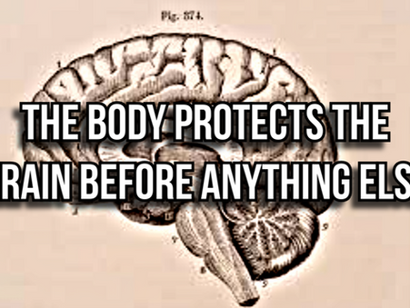 Why the Body Protects the Brain First — and Sacrifices the Rest