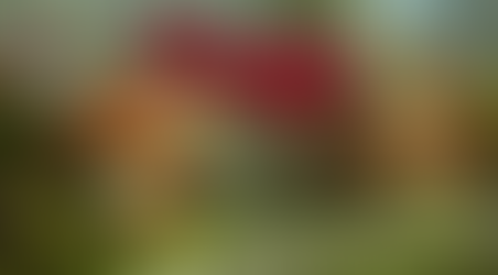 There’s a Fungi Among Us: Hidden Signs of Fungal Overgrowth & How to Support Your Body Naturally