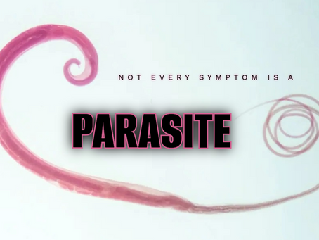 Not Everything Is a Parasite | Understanding the Bigger Picture Behind Chronic Symptoms