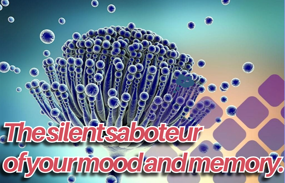 The Mold–Brain Axis