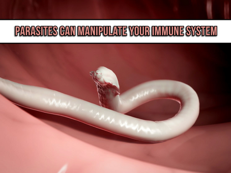 How Parasites Manipulate the Immune System: Helminth Immune Escape Strategies