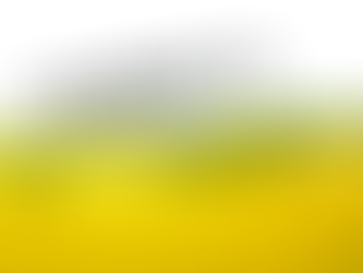 Polysorbate 80 and Your Gut: The Hidden Additive That Disrupts Your Microbiome