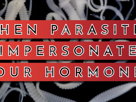 How Parasites Hijack Your Hormones (And Why It Wrecks Your Signals)