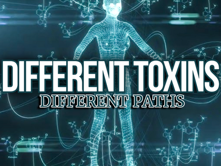 What Happens After a Toxin Enters Your Body?
