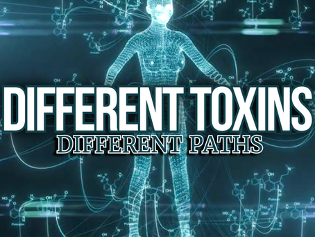 What Happens After a Toxin Enters Your Body?