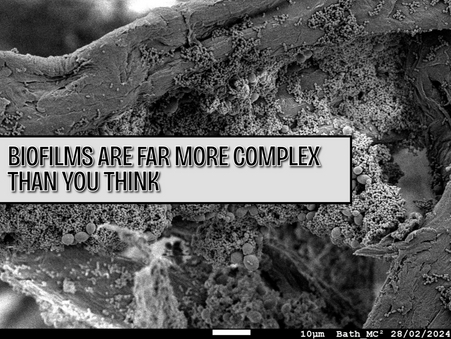 Biofilms Explained: Why They're More Like Microbial Cities Than Slime