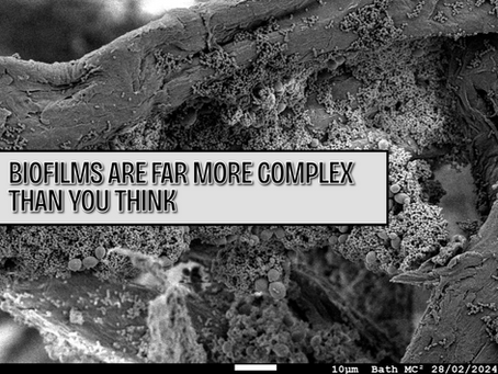 Biofilms Explained: Why They're More Like Microbial Cities Than Slime