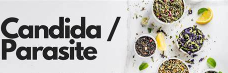 Gut Imbalance Explained: Bacteria, Candida, Parasites, IBS & SIBO