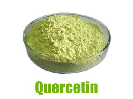 Quercetin: The Powerful Plant Antioxidant That Supports Immunity, Inflammation & Cellular Health