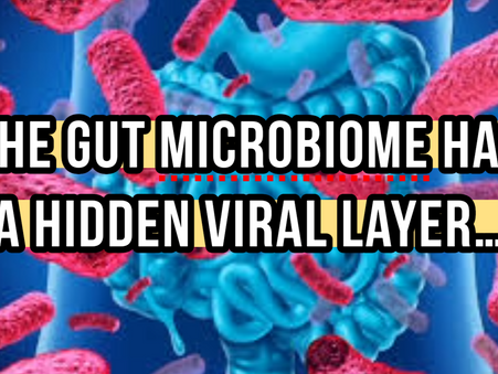 The Hidden Viral Layer of Gut Health: What We’re Only Beginning to Understand