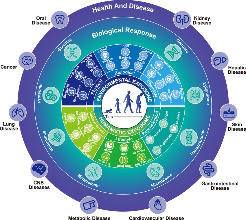Exposome