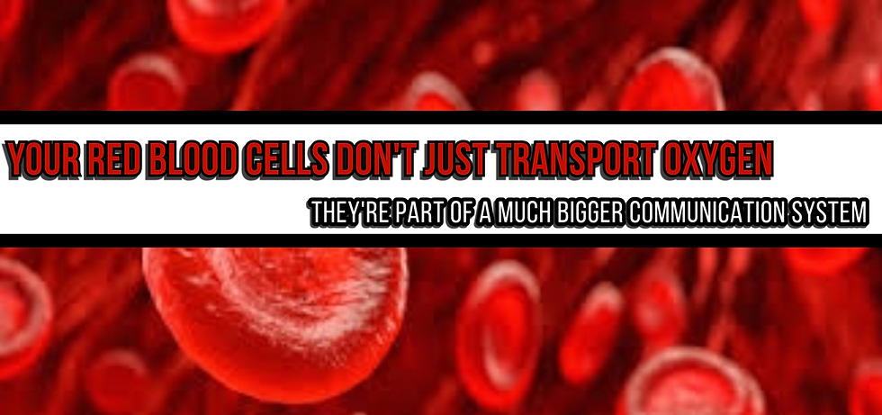 Red Blood Cells