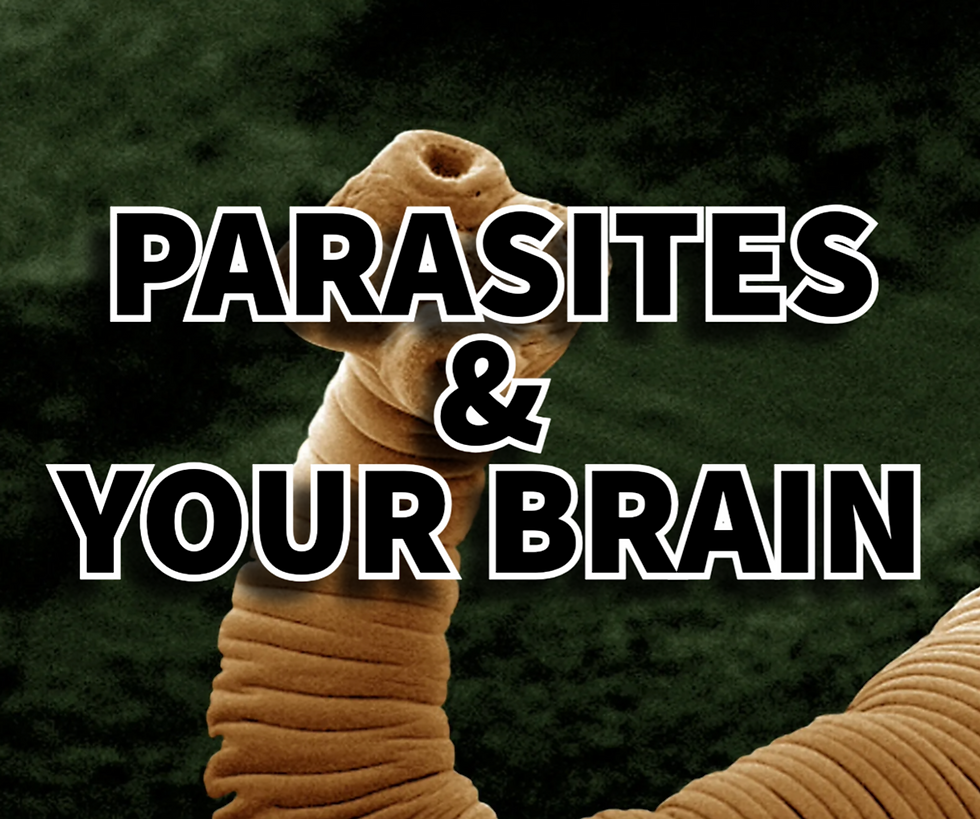 Parasites & Your Brain