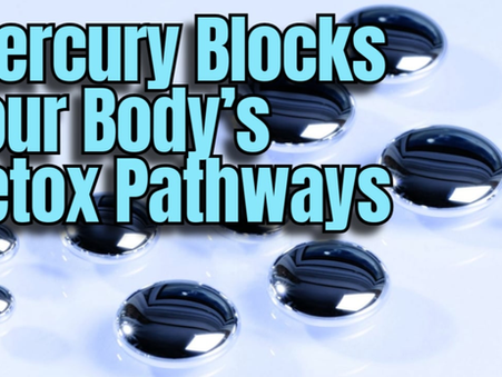 The Mercury–Thiol Traffic Jam: How Mercury Blocks Sulfur Pathways Before Labs Detect It