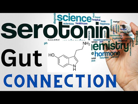 🧠🌱 Gut Health and Serotonin: The Hidden Connection Between Your Microbes and Your Mood 🌱🧠