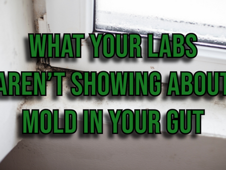 Mold and Mycotoxins: How They Affect Your Gut Barrier