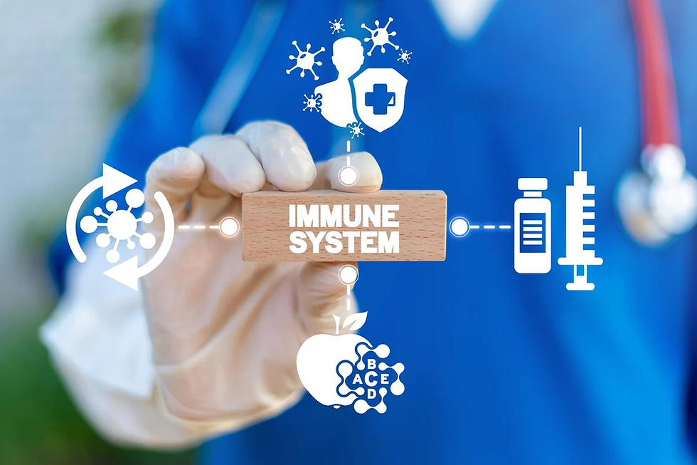 MSM & Your Immune System