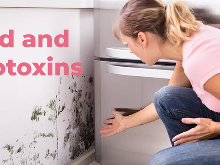 Mold & Mycotoxins: The Hidden Indoor Toxins Affecting Your Health
