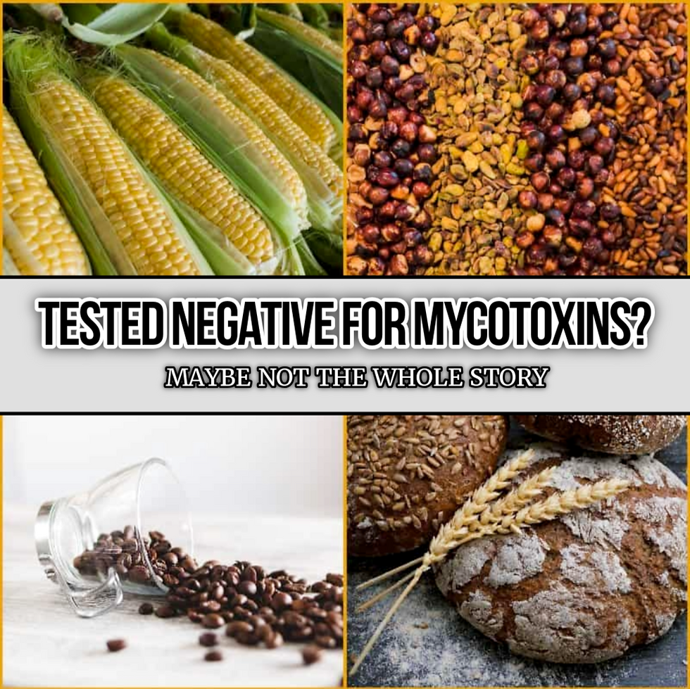 Masked Mycotoxins: The Mycotoxins You May Not Detect