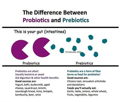 Probiotics & Prebiotics: The Ultimate Duo for a Healthy Gut