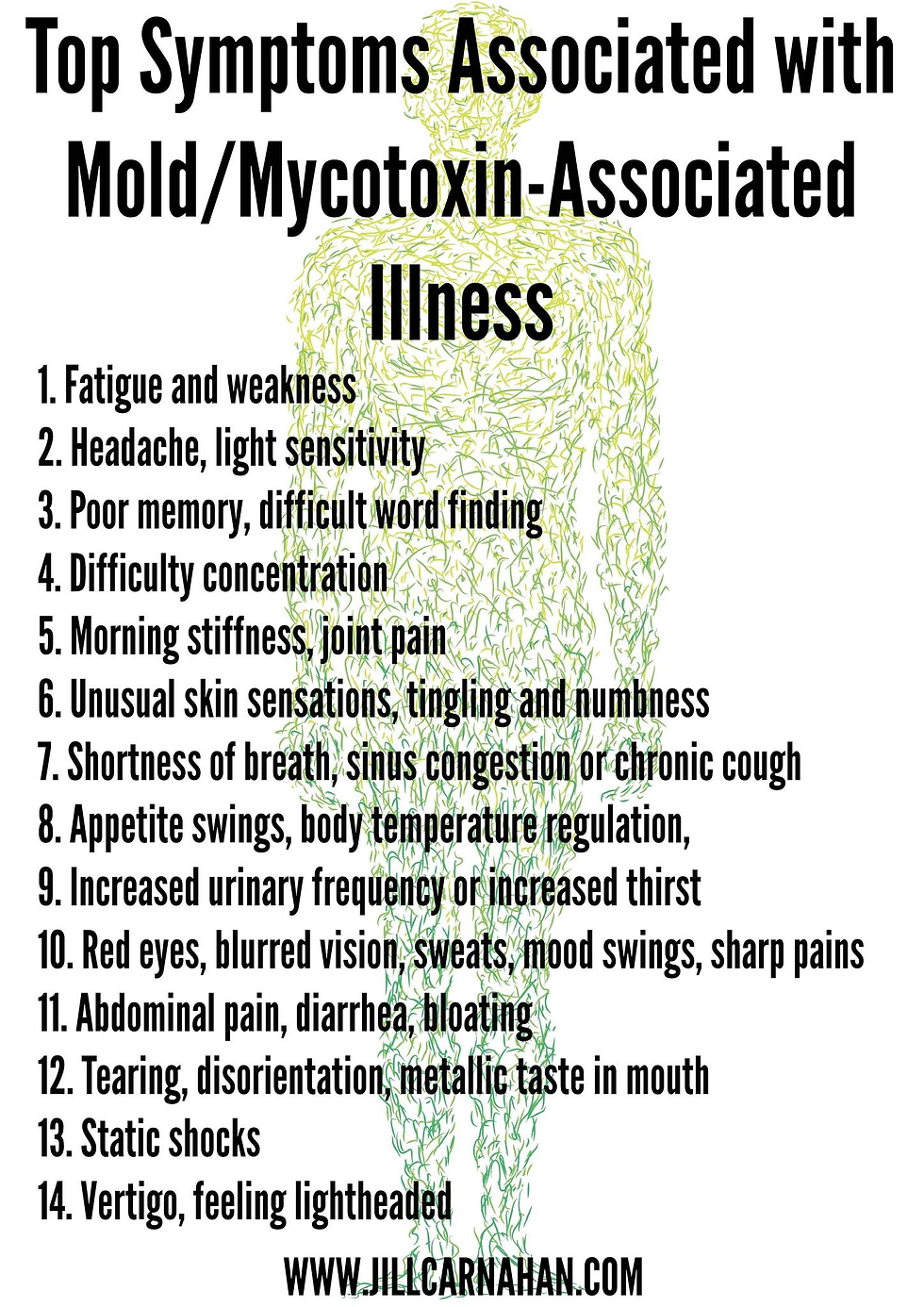 Could Mold Toxicity Be Affecting Your Mental and Physical Health?