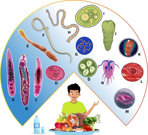 Foodborne Parasites