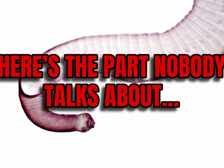The Truth About Parasites: What Everyone Should Know