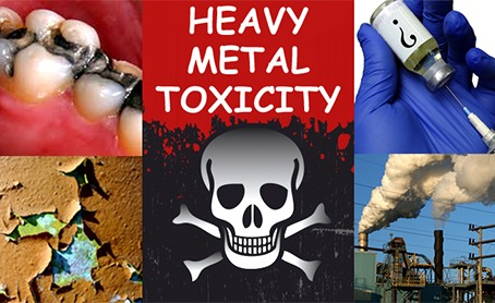 ⚠️ Understanding Heavy Metal Toxicity: The Hidden Burden on Our Health
