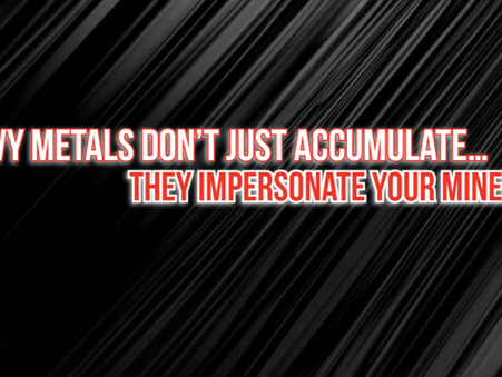 The Mineral Mimicry Problem: Why Detox Stalls Even When You’re Doing Everything Right