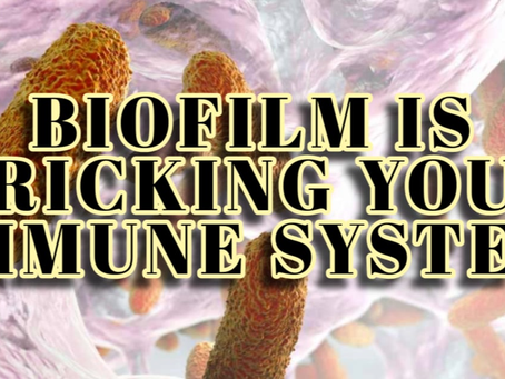 Root Cause Insight: How Parasites Use Biofilms to Evade Your Immune System