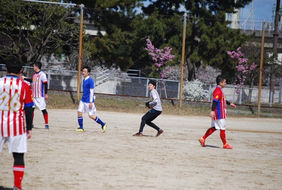 vs03279.jpg