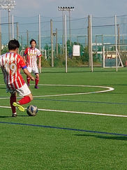 IMG_4754.JPG