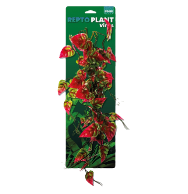 REPTO PLANT VINES PINK/GREEN SYNGONIUM 60 CM