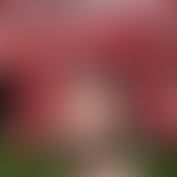 Toda una fiesta 🥳🥳