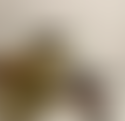 Geofísicas de la UNAM muestran su lado artístico en De rocas y tinta