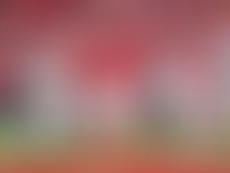 ¿Ya no más robos? La NFL toma una importante decisión en el arbitraje del partido de Playoffs de los Kansas City Chiefs