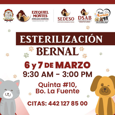 🐶🐱 ¡Esterilización gratuita en Bernal para cuidar a tus mascotas! 🌟