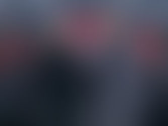 ⚽ Esto es lo que espera Zlatan Ibrahimovic de Santiago Giménez en el Milan