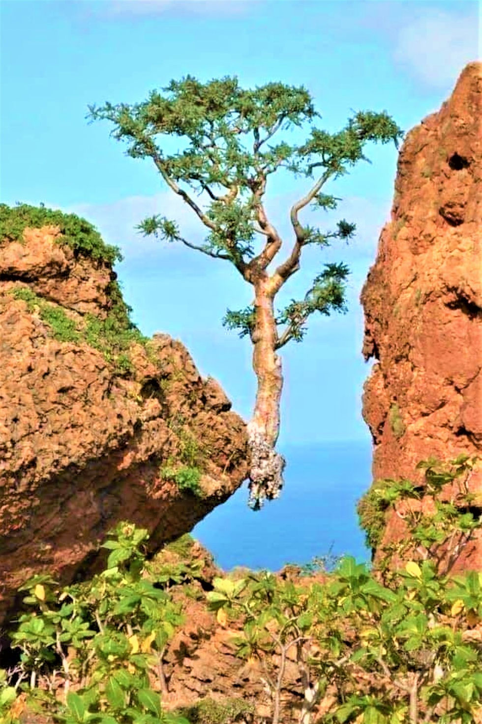 Balance/ innere Mitte