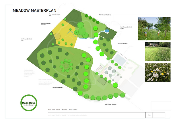 Meadow Masterplan design showing layout with key features