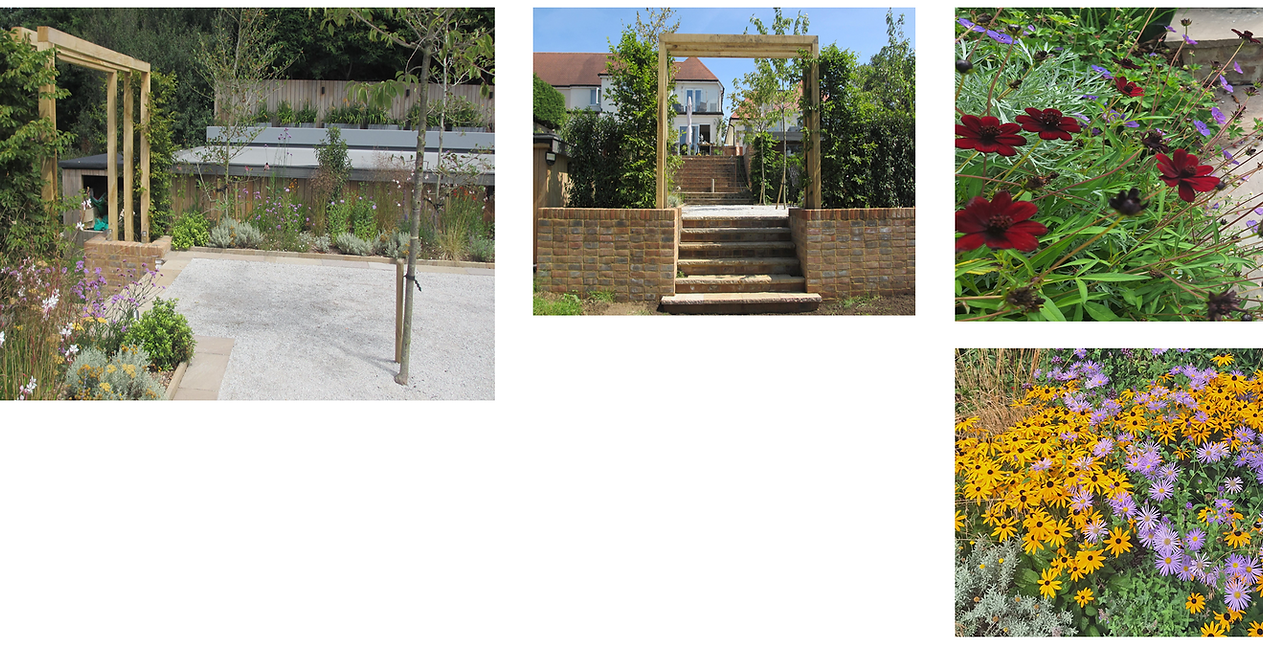 Landscaped garden with pergola, steps, and colorful flowers