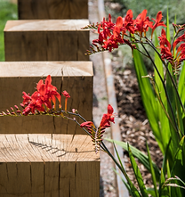 design a garden