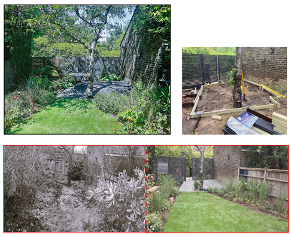 Garden transformation: before & after; landscaping project